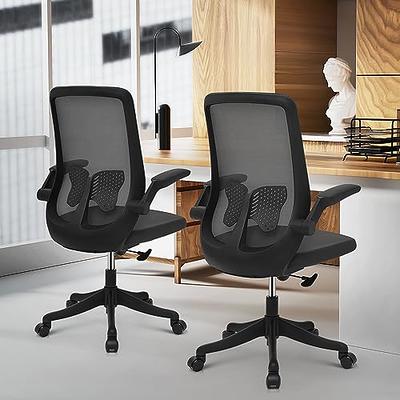 HOLLUDLE Ergonomic Office Chair with Adaptive Backrest