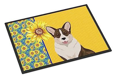 IM HOME Durable Chenille Absorbent Door Mat Indoor Doormat 24 x 36,  Washable Door Mats for Dog Non Slip Heavy Door Rug Soft Front Inside  Doormat for