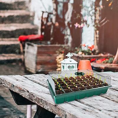 6-Pack Seed Starter Trays, 240-Cell Seed Starter Kit with Humidity Dome