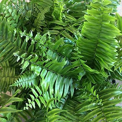 Large Fake Sword Fern Plants - Outdoor Artificial Ferns