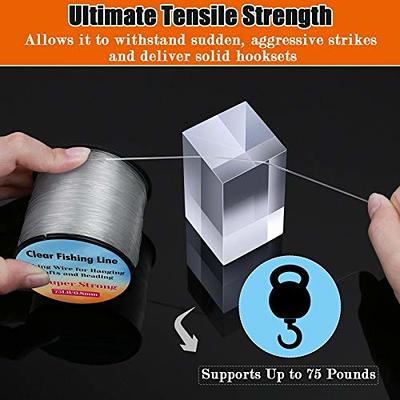 Strong Fishing Line Clear, Acejoz Thick Fishing Wire 0.8mm Invisible  Hanging Wire Heavy Duty Monofilament Line 70 Lb Test for Hanging Decoration  Balloon Garland Crafts - Yahoo Shopping