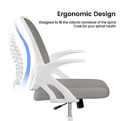 Home Office Chair Work Desk Chair Comfort Ergonomic Swivel Computer Chair,  Breathable Mesh Desk Chair, Lumbar Support Task Chair with Wheels and