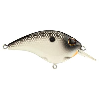 Berkley Clickin' Frittside Fishing Lure, Midnight Pearl, 5 Junior (1/4 oz),  2in  5 cm, Classic Flat Side Profile Mimics Variety of Species, Equipped  with Sharp Fusion19 Hook - Yahoo Shopping