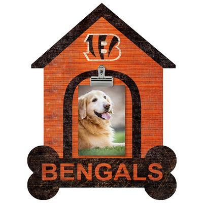 Cincinnati Bengals Dog Apparel and Accessories