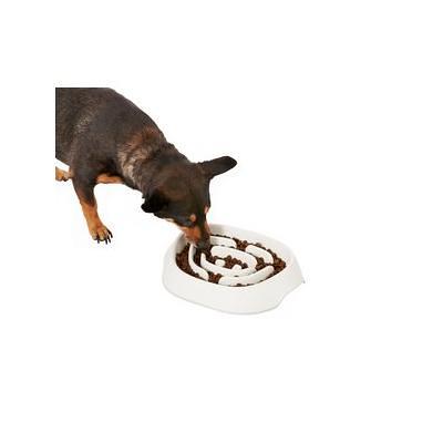 Frisco Non-Skid Slow Feeder Dog & Small Pet Bowl, Black