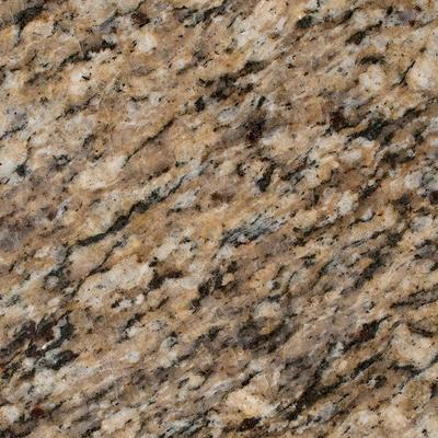 STONEMARK 3 in. x 3 in. Granite Countertop Sample in White Pebble