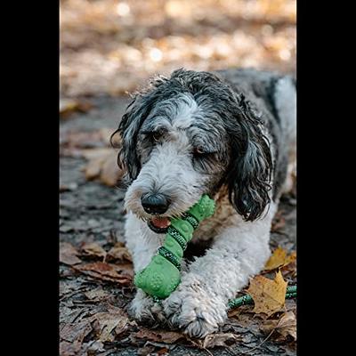 Rubber Bone Dog Chew Toy with Tug Rope -- Great for Active Dogs