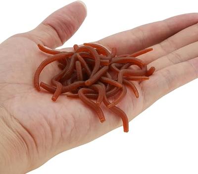 Soft Plastic Worms