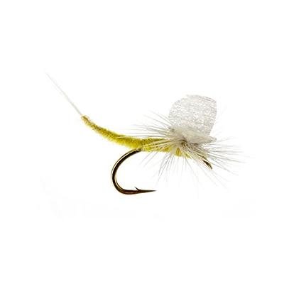 Dry Flies by Colorado Fly Supply - PMD Extended Body - Pale Morning Dun  Extended Body Dry Fly 
