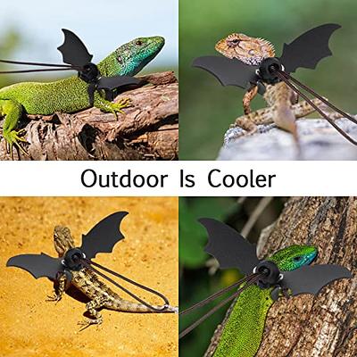  Pawaboo Adjustable Bearded Dragon Harness and Leash, 3 Size  Leather Reptile Leash Outdoor Harness Leash with Bat Wings for Lizard  Reptiles Amphibians Small Pet, Small/Medium/Large, Black+Gold : Pet Supplies