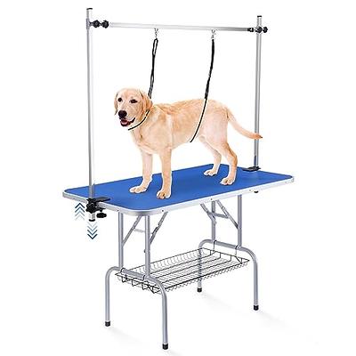 Fold up deals dog grooming table