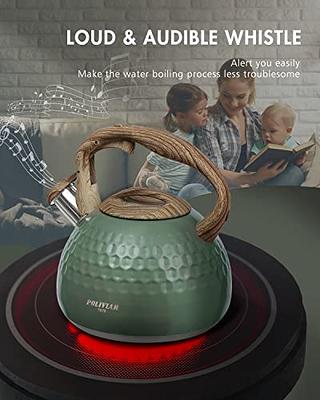 POLIVIAR Tea Kettle, 2.7 Quart Stovetop Tea Kettle, Audible Whistling Teapot,  Food Grade Stainless Steel for Anti-Rust, Anti Hot Handle, Suitable for All  Heat Sources (JX2020-RH30-2) - Yahoo Shopping