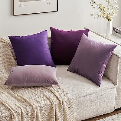 Outdoor Decorative Plush Velvet Throw Pillow Covers Sofa Accent Couch Pillows (Set of 2), Purple