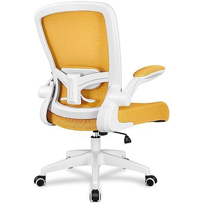 Home Office Chair Ergonomic Desk Chair Mesh Computer Chair with Lumbar  Support Armrest Executive Rolling Swivel Adjustable Mid Back Task Chair for