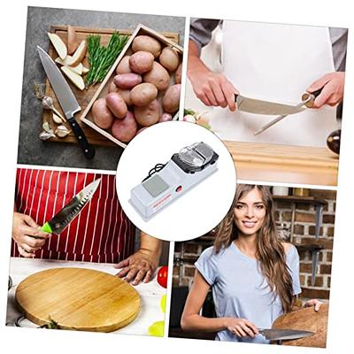 LeTkingok 100-240V Multifunctional Mini Electric Belt Sander, DIY Polishing Sharpening Machine Grinding Wheel Fixed Angle Knife Sharpener