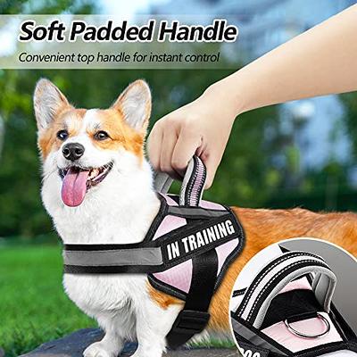 Service Dog Vest Harness and Leash Set, Animire in Training Dog Harness  with 8 Dog Patches, Reflective Dog Leash with Soft Padded Handle for Small,  Medium, Large, and Extra-Large Dogs (RED,XL) 