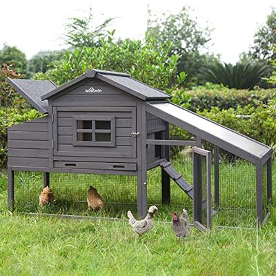 Waterproof nesting box lid  Nesting box, Chickens backyard, Coop