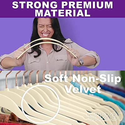 Non-Slip Velvet Clothing Hangers, 100 Pack, Off-White Organizer