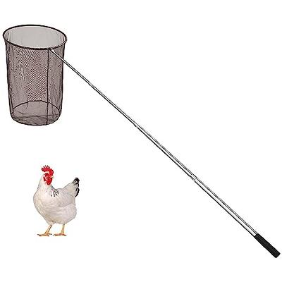 Windyun Chicken Catcher Poultry Catch Net Poultry Chicken Net Chicken Catching  Net with Stainless Steel Telescopic Pole for Outdoor Poultry (17.72 x 25.59  Inch Net with 6.89 ft Pole) - Yahoo Shopping