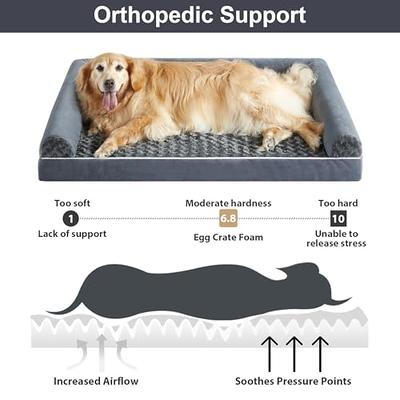 WNPETHOME Dog Beds for Medium Large Dogs, Orthopedic Sofa Mat Pillow with  Removable Waterproof Cover, Egg-Foam Crate Bed