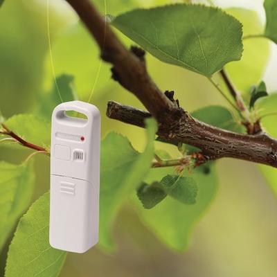 Acurite Color Weather Forecaster with Temperature and Humidity