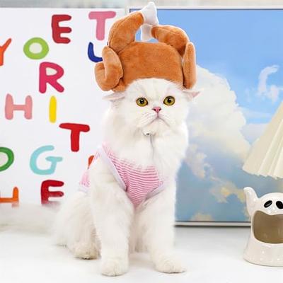 Thanksgiving Turkey Hat for Cats Funny Turkey Cat Hat With -  Denmark