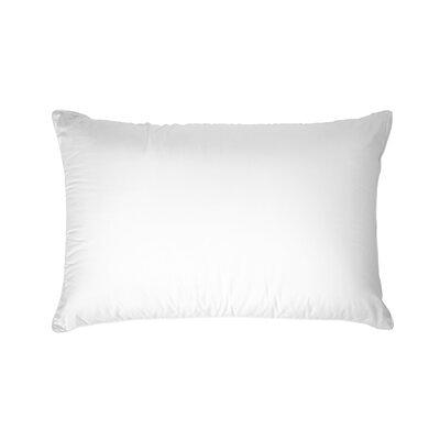 Extra Firm Density Pillow (Set of 2) Alwyn Home Size: King