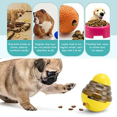 WishLotus Dog Snuffle Ball, Interactive Dog Toys Ball, Dog Brain  Stimulating Puzzle Toys for Dogs, Enrichment Game Feeding Mat Slow Feeder  Stress Relief Toy (Rainbow) - Yahoo Shopping