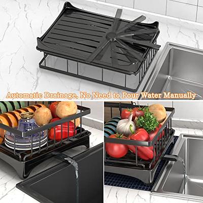 Dish Drying Rack for Kitchen, 2 Tier Large Stainless Steel Dish Drainer for  Kitchen Counter, Dish Strainer with Utensil Holder