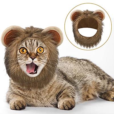 2pcs cat party hat outdoor cat hat dog hat puppy hat cat hat