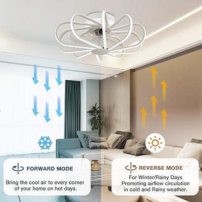 SAMPHON Ceiling Fans with Lights,24'' Caged Flush Mount Ceiling