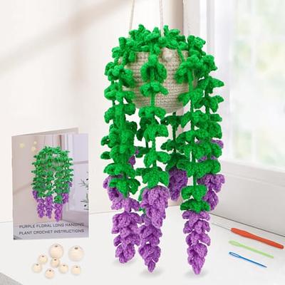 Crochet Kit for Beginners, Hanging Potted Plants Crochet Starter Kit with  Video