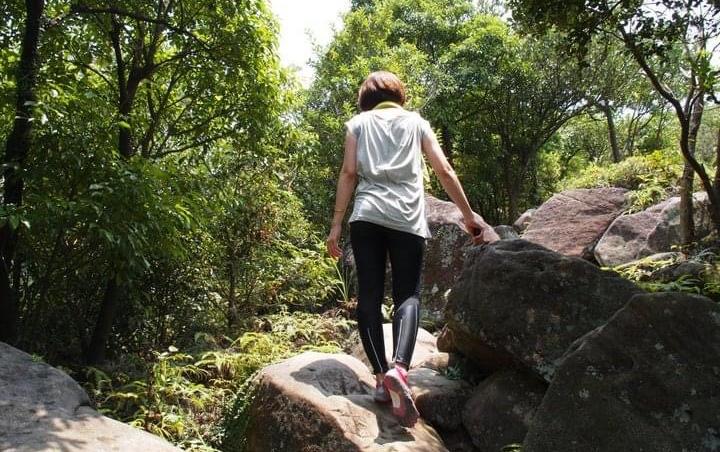 搭捷運文湖線走出戶外！貓空樟樹步道、金面山、木柵動物園...郊外景點一線玩到底