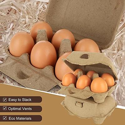 FVIEXE 40PCS Egg Cartons Cheap Bulk, 6 Count Egg Cartons for Half Dozen  Chicken Eggs (6