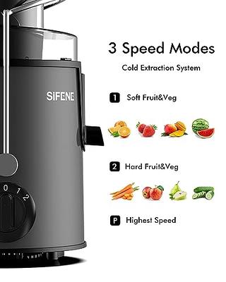 SiFENE Vertical Cold Press Juicer, Slow Masticating Juicer Machine, Juice  Maker