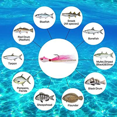 Saltwater Surf Fishing Tackle Kit, 173pcs Ocean Saltwater Fishing