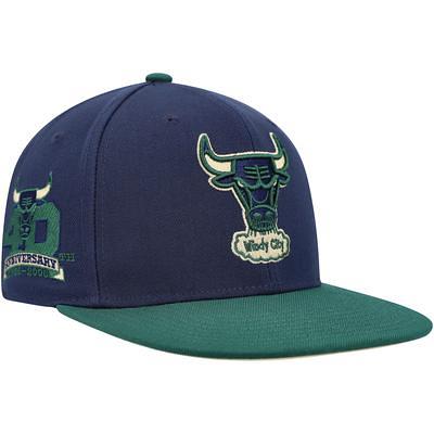 Men's Mitchell & Ness Purple/Hunter Green Milwaukee Bucks Hardwood Classics 40th Anniversary Team Side Fitted Hat