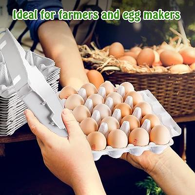 Quail Egg Cartons,Quail Egg Cartons Cheap Bulk 50 Pack of 12 Small  Tray,Reusable Plastic Quail Egg Container For Refrigerator Market Farmers  Display