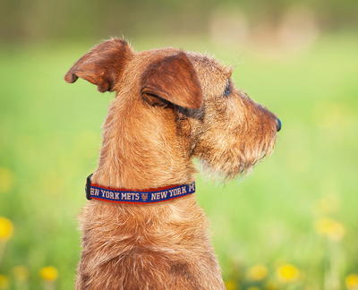 Pets First New York Mets Cat Collar