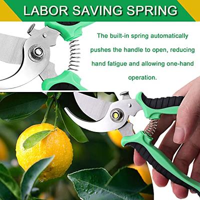 Pruning Shears - Garden Clippers Pruner, 7.5 Inch Stainless Steel Handheld  Branch Gardening Scissors Snips Tool with Safety Lock for Trimming Plant,  Flowers, Herbs, Buds, Leaves - Yahoo Shopping