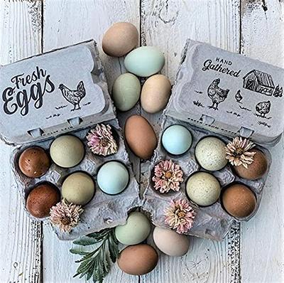 Quackberry Duck Egg Carton Stamp - Cartons Fresh Eggs Coop Lover Gift Idea  - Yahoo Shopping