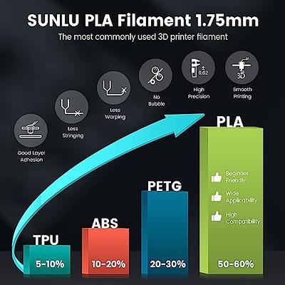 SUNLU PETG 3D Printer Filament 1.75mm Dimensional Accuracy +/- 0.02mm  1kg(2.2lbs) Spool, Silver 
