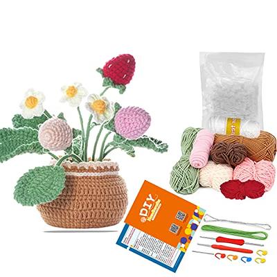 Cadeya Crochet Kit for Beginners, Crocheting Bags Kits with Step