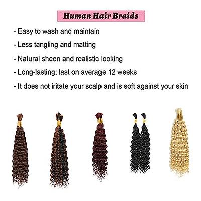 Humistwbiu Bulk Human Hair for Braiding Deep Wave Human Braiding Hair Micro  Braiding Hair Human Hair 100% Unprocessed Brazilian No Weft Human Hair 20  Inch (100g(1Pack-2Bundles), Natural Black) : : Beauty 