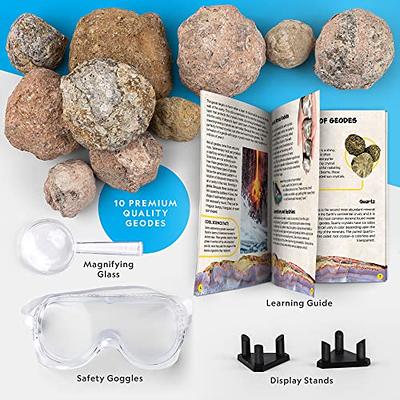 Advanced Professional Rock Tumbler Kit - with Digital 9-Day Polishing Timer  & 3 Speed Settings - Turn Rough Rocks into Beautiful Gems : Great Science