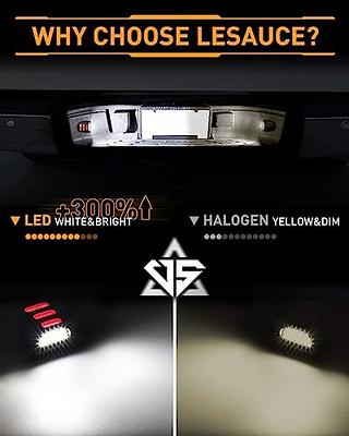 License plate light LED conversion and dimming