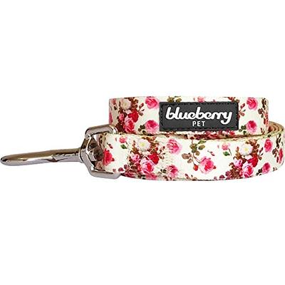 Blueberry Pet Essentials 2 Patterns Durable Pink Webbing Ladybug Designer  Dog Leash 4 ft x 1, Large, Basic Nylon Leashes for Dogs