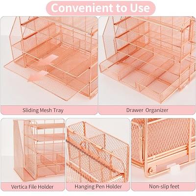 Marbrasse Desk Organizer with File Holder, 5-Tier Paper Letter Tray  Organizer with Drawer and 2 Pen Holder, Mesh Desk Organizers and  Accessories