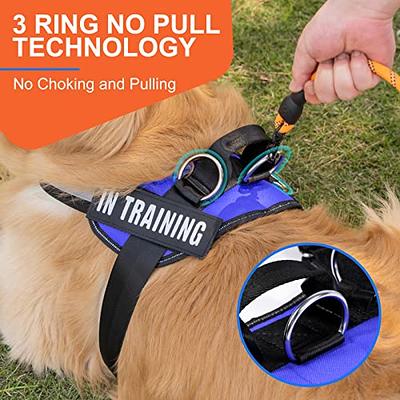 Side ring hot sale dog harness