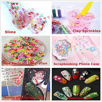 100g Resin Flatbacks Slime Accessories Clay Sprinkles Decoration for Slime  Charms Filler DIY Slime Supplies Fake Candy Chocolate Cake Dessert Mud  Particles Toy Scrapbook Phone Case (needle5) - Yahoo Shopping